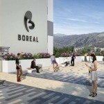 Boreal